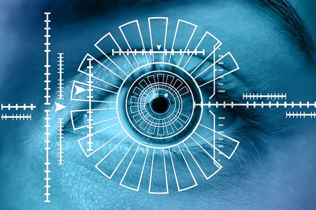 Enhancing Security and Compliance with Biometric-Driven Identity Proofing