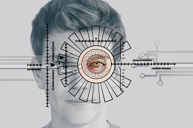 Securing User Identities: Integrating Biometrics and Automation for Compliant Verification