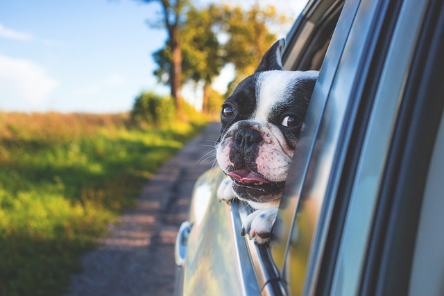 VIN Verification: Your Key to Car Title Authenticity