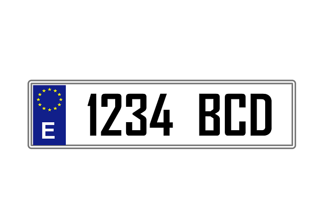 DMV Replacement Plates,license plate replacement