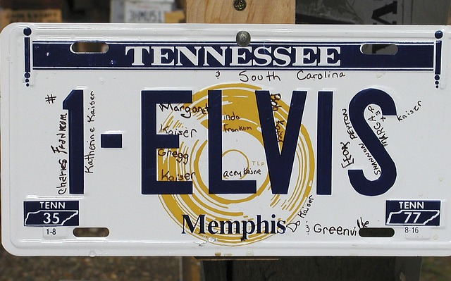 Quick Guide to Replacing Lost License Plates at the DMV