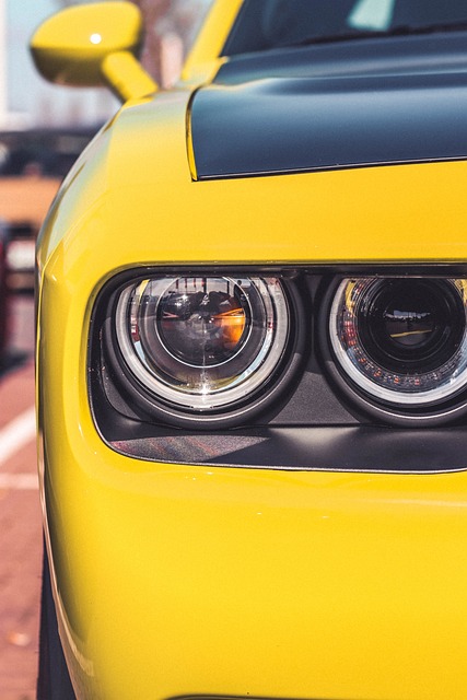 Secure Your Investment: Verifying Vehicle Title Authenticity with the DMV