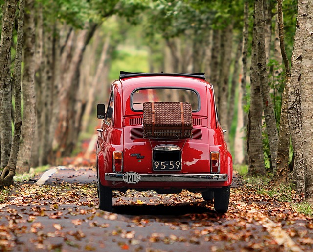 Smart Car Shopping: Free VIN Number Search Unlocks Vehicle History