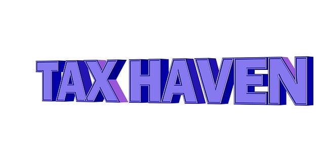 Maximize Your Savings: Expert Income Tax Services for Stress-Free Filing and Year-End Planning