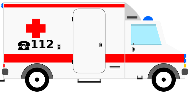 Effortless DMV Renewal: Fast Online and Kiosk Options for License and Registration