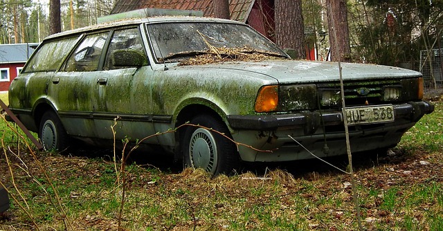 Safeguarding Your Investment: A Guide to Purchasing Salvage Title Cars