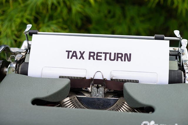 Expert Tax Guidance for Stress-Free Filing: Your Partner in Income Tax Preparation and Small Business Tax Help