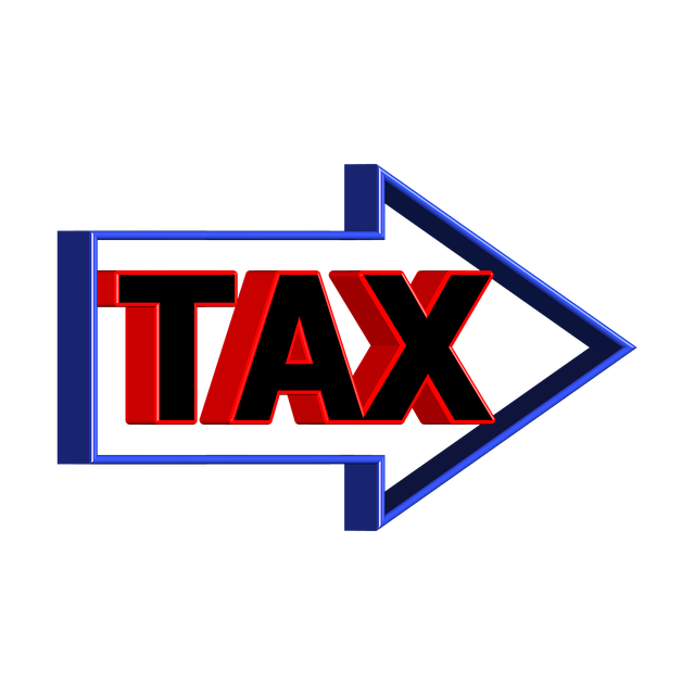 Tax advisor services