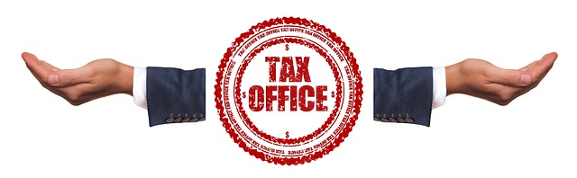 Tax filing services,Income tax services