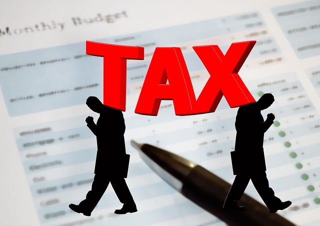 Tax filing services,Income tax services