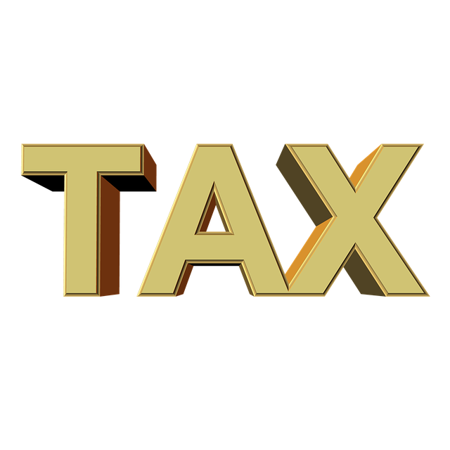 Tax filing services,Income tax services