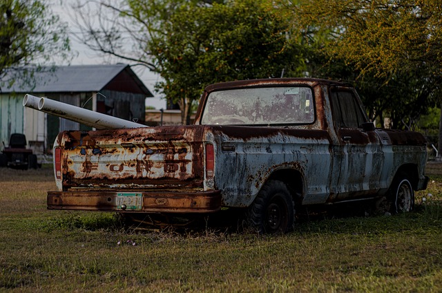 Vehicle License Renewal,Junk Car License Renewal