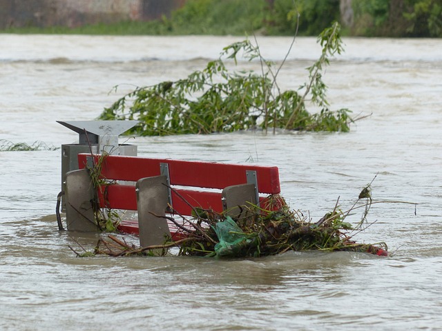 Securing Financial Resilience: The Essence of Business Interruption Insurance in Disaster Risk Coverage