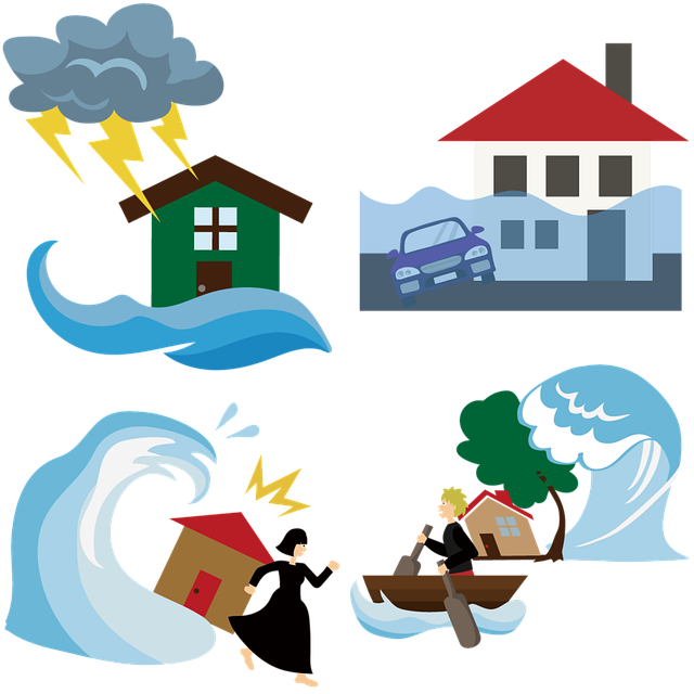 Natural disaster insurance,Flood Insurance