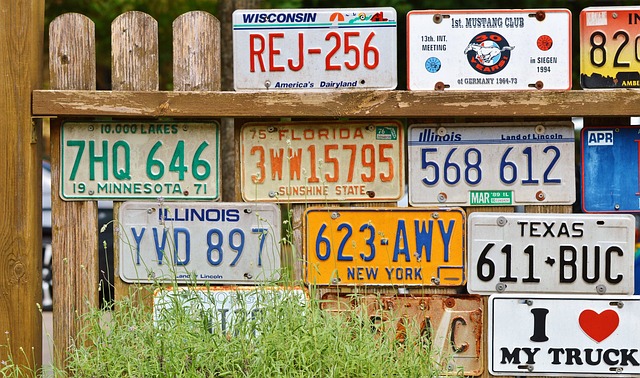 Replace Lost License Plates,License Plate