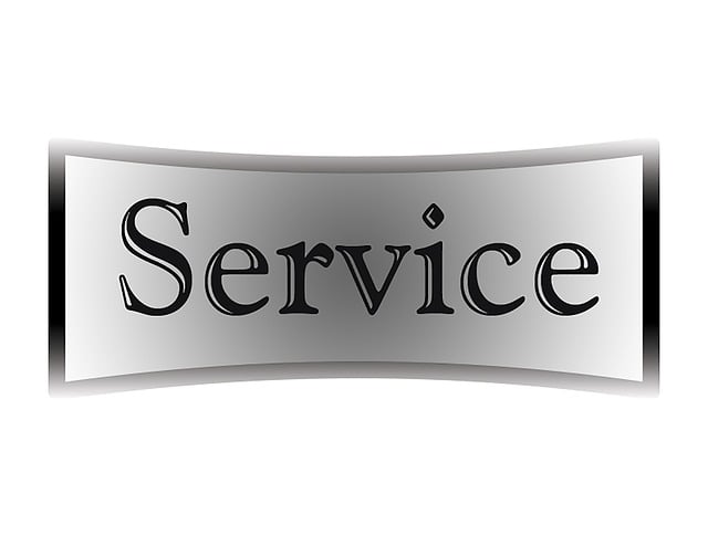 State vehicle services,DMV services