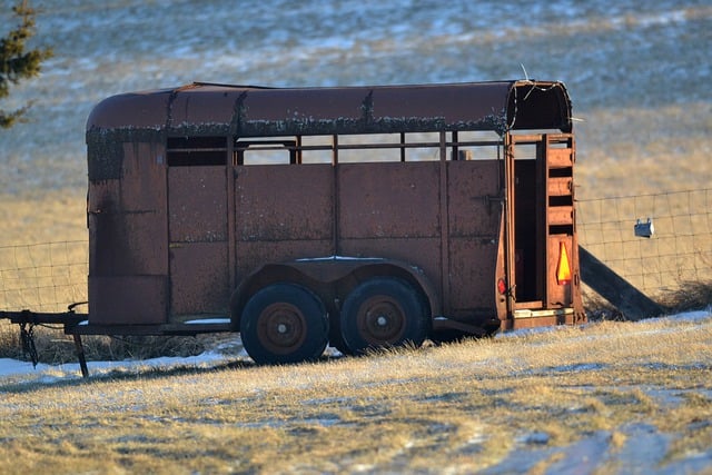 Trailer VIN Lookup,Vehicle History