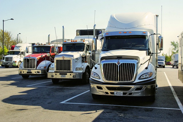 Pre-Purchase Prudence: Safeguarding Your Investment with Truck VIN Checks