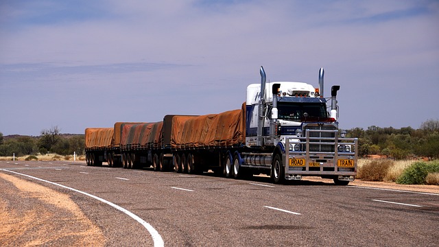 truck VIN check,Truck vehicle history