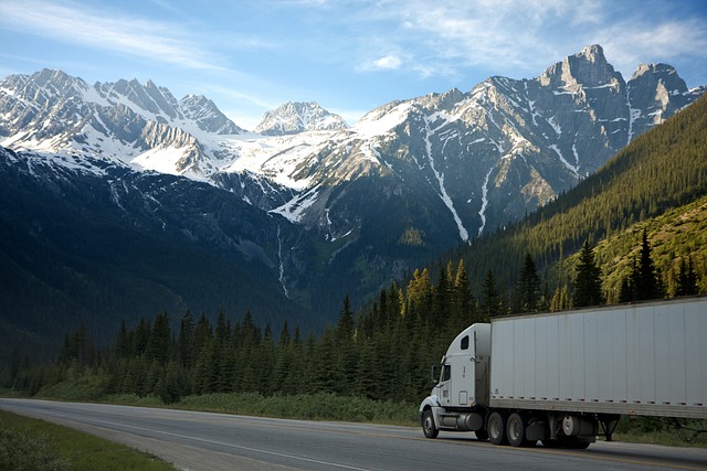 Navigating Fleet Safety and Compliance with Truck VIN Insights