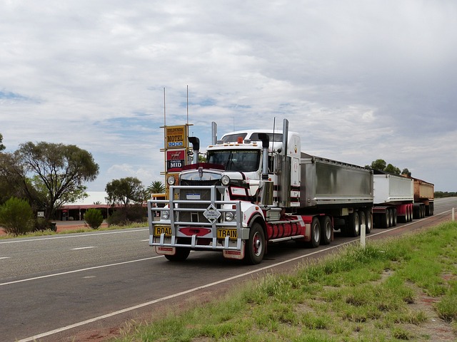 Truck VIN Validation,Truck VIN Check