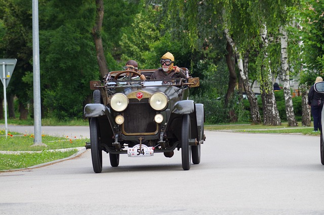 Vehicle history report, Car history check