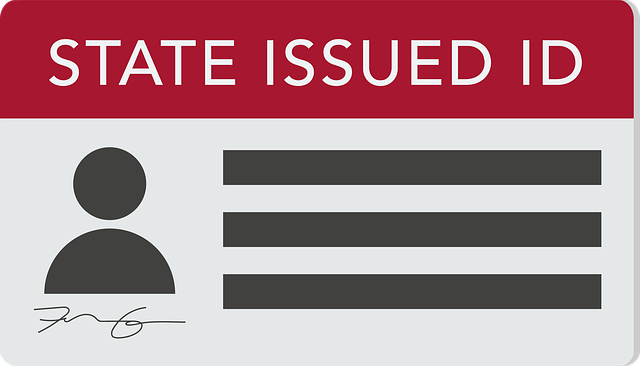 Navigating Used Car Deals: The Critical Role of VIN Checks for Safe Purchases