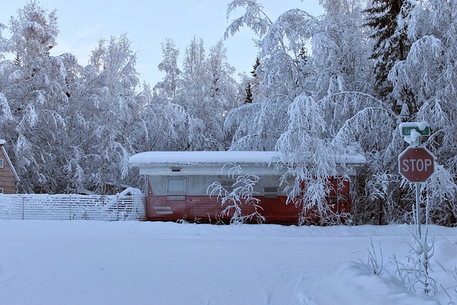 VIN Verification trailer,Trailer VIN check services