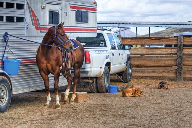 Securing Your Investment: A Guide to Legit Checks for Trailers