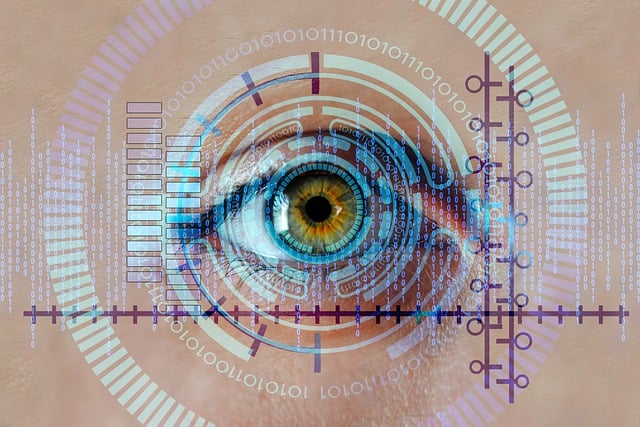 Biometrics & Document Verification: Instant, Secure Identity Proofing for Businesses