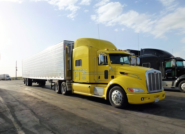 Commercial Truck VIN Checks: Safeguarding Fleets, Preventing Hazards