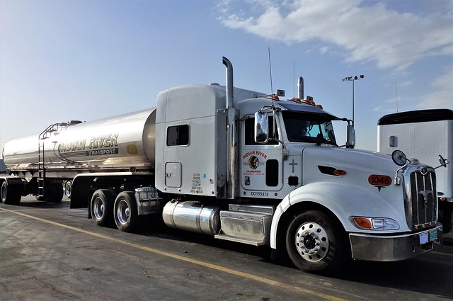 Commercial Truck VIN Checks: Safeguarding Fleets, Preventing Recalls