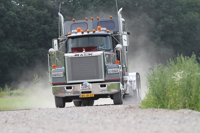 Commercial Truck VIN Check,Commercial vehicle