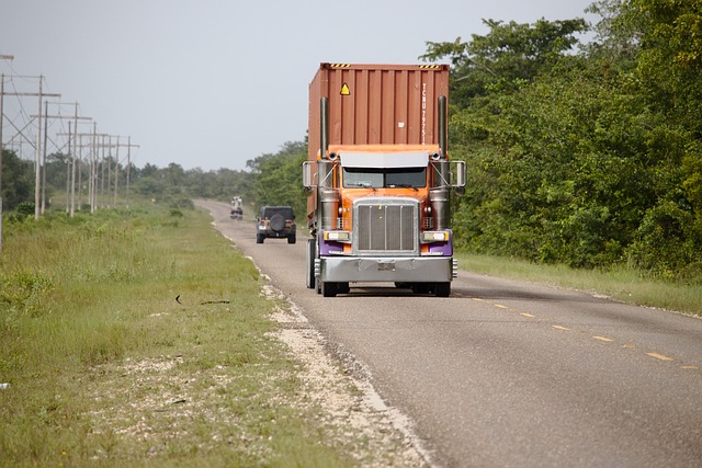 Commercial Truck VIN Check,Commercial vehicle