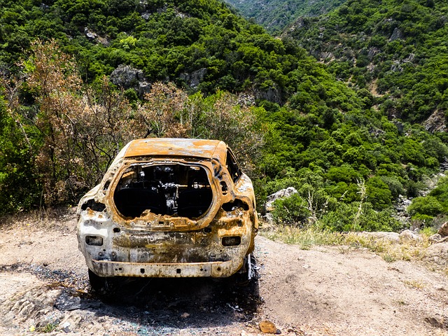 Protecting Your Ride: Comprehensive Auto Insurance in an Unpredictable World