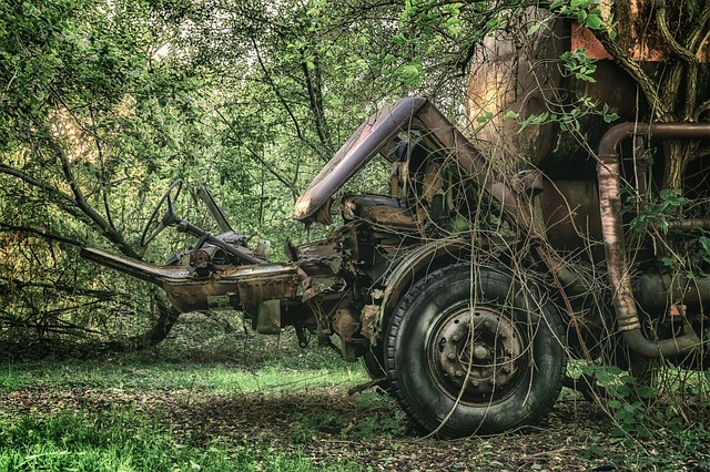 Comprehensive Auto Insurance: Protecting Vehicles, Finances in Uncertain Times