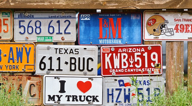 DMV Replacement Plates,license plate replacement