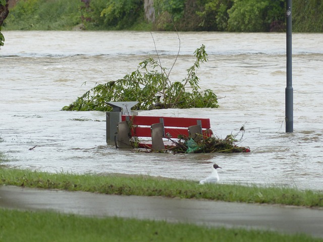 Natural disaster insurance,Flood Insurance