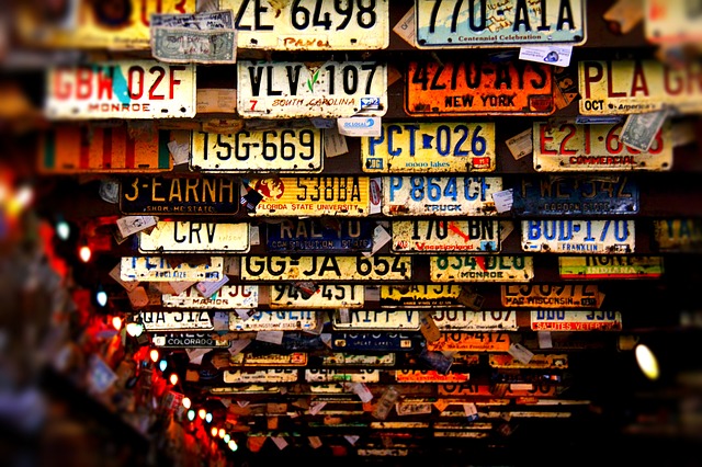 Replace Lost License Plates,License Plate