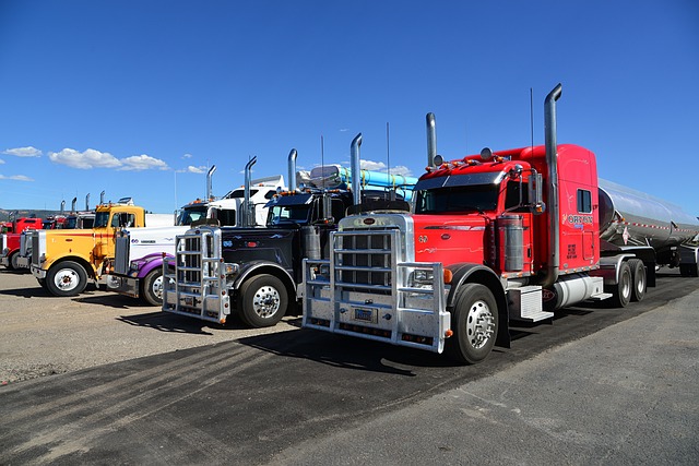 Protect Your Investment: VIN Checks for Fleet Trucks