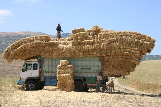 Truck VIN Validation,Truck VIN Check