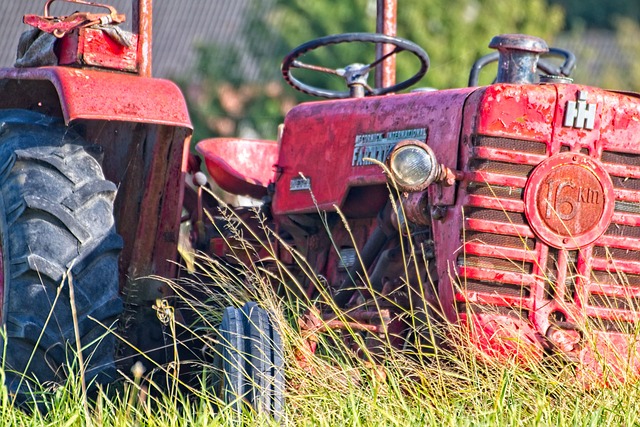 Navigating Risks: Verifying Used Car History Beyond Free VIN Checks