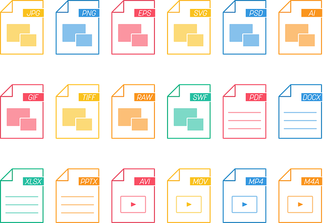 Vehicle Ownership,Car title document