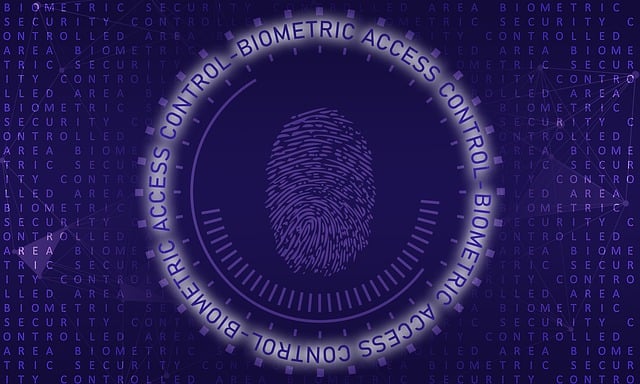 VIN Decoder,Vehicle Identification