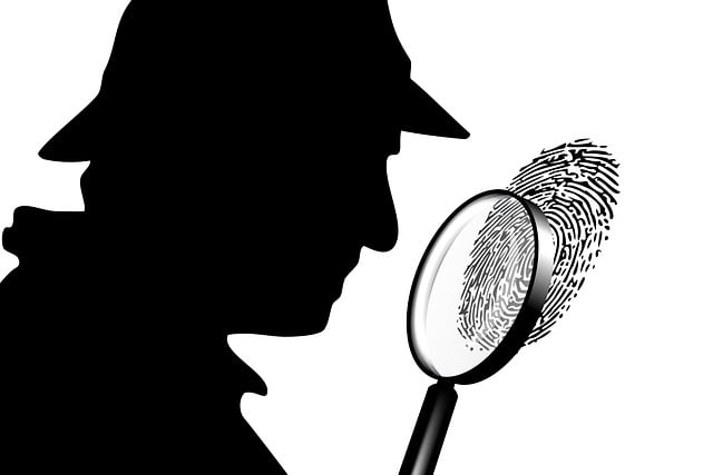 VIN Analysis: Uncover Vehicle Secrets Before Dealership Visit