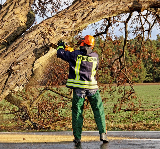 Protect Your Vehicle: Comprehensive Insurance Against Theft & Natural Disasters