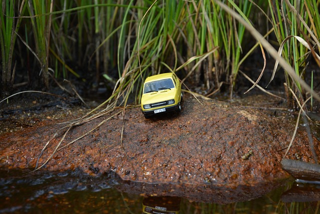 High-Risk Drivers: Navigating Costly Insurance with Coverage Options