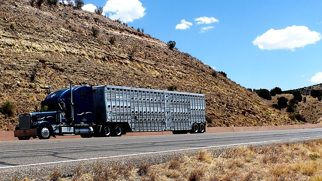 Trailer VIN Lookup,Vehicle History