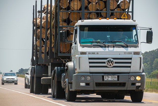 Pre-Purchase Truck VIN Checks: Protect Your Investment from Fraud