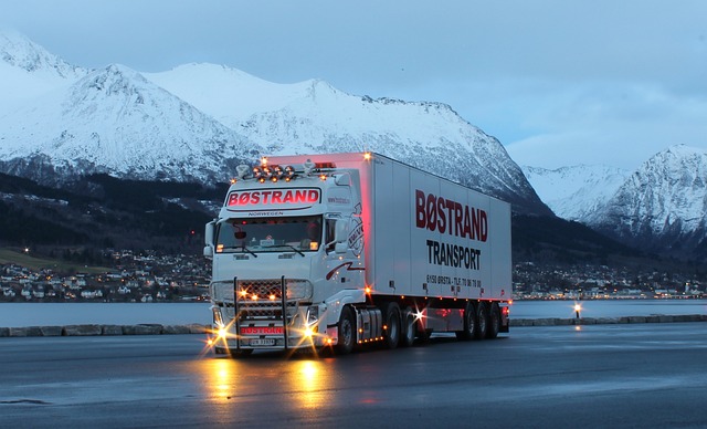 truck VIN check,Truck vehicle history